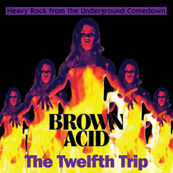 Various Brown Acid: The Twelfth Trip (Heavy Rock From The Underground Comedown) Vinyl LP