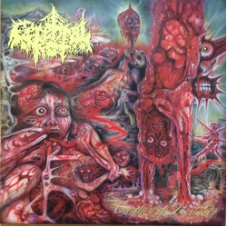 Cerebral Rot Excretion Of Mortality Vinyl LP