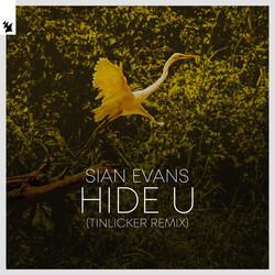 Sian Evans Hide U (Tinlicker Remix) Vinyl