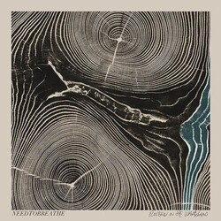 NEEDTOBREATHE Rivers In The Wasteland Vinyl LP