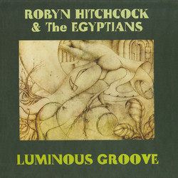 Robyn Hitchcock & The Egyptians Luminous Groove Vinyl LP