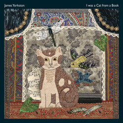 James Yorkston I Was A Cat From A Book Vinyl 2 LP