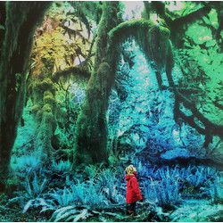 Jacco Gardner Cabinet Of Curiosities Vinyl LP