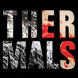 The Thermals Desperate Ground Vinyl LP