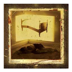 Straylight Run Straylight Run Vinyl LP