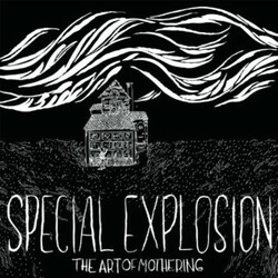 Special Explosion The Art Of Mothering Vinyl LP