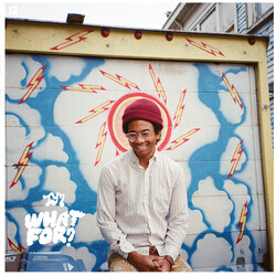 Toro Y Moi What For? Vinyl LP