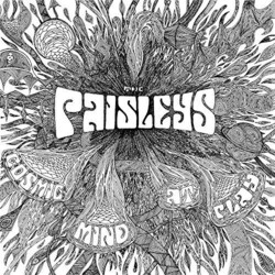 The Paisleys Cosmic Mind At Play Vinyl LP