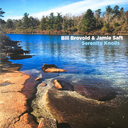 Bill Brovold / Jamie Saft Serenity Knolls Vinyl 2 LP