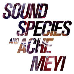 Soundspecies / Ache Meyi Soundspecies And Ache Meyi Vinyl 2 LP