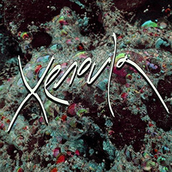 Xenoula Xenoula Vinyl LP