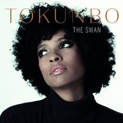 Tokunbo Akinro The Swan Vinyl LP