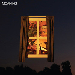 Moaning Moaning Vinyl LP