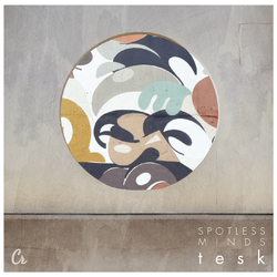 Tesk Spotless Minds Vinyl LP