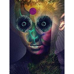 Dir En Grey The Insulated World Vinyl LP