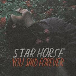 Star Horse You Said Forever Vinyl LP