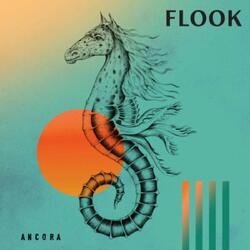 Flook Ancora Vinyl LP