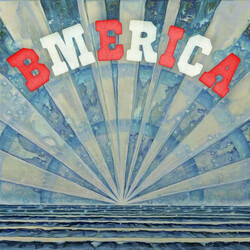 Maurice & Die Familie Summen Bmerica Vinyl LP