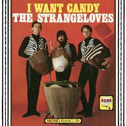 The Strangeloves I Want Candy Vinyl LP