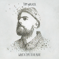 Tom Walker What A Time To Be Alive (180G/Dl Insert) Vinyl LP