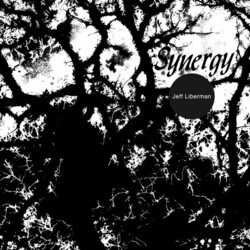 Jeffery Liberman Synergy Vinyl LP