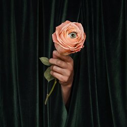 Marian Hill Unusual Vinyl LP