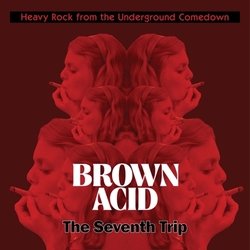 Various Artists Brown Acid - The Seventh Trip Vinyl LP