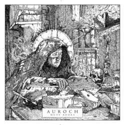 Auroch Mute Books Vinyl LP