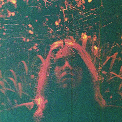 Turnover Peripheral Vision Vinyl LP