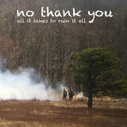 No Thank You All It Takes To Ruin It All Vinyl LP