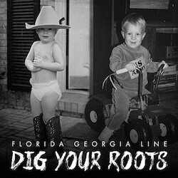 Florida Georgia Line Dig Your Roots Vinyl LP