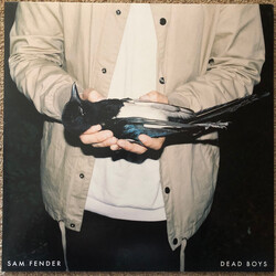 Sam Fender Dead Boys