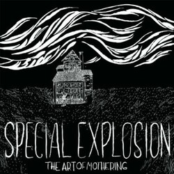 Special Explosion Art Of Mothering Vinyl