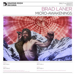 Brad Laner Micro-Awakenings Vinyl 2 LP