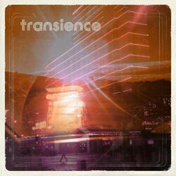 Wreckless Eric Transience Vinyl