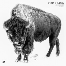 Johannes Brecht / Fetsum Winter In America Vinyl