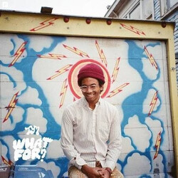 Toro Y Moi What For? Vinyl LP