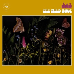 Ae3 (Alan Evans Trio) Wild Root Vinyl