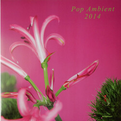 Various Pop Ambient 2014 Multi Vinyl LP/CD