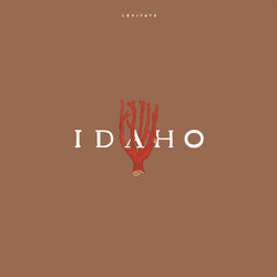 Idaho Levitate Vinyl LP