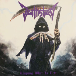 Deathstorm Reaping What Is Left Vinyl LP