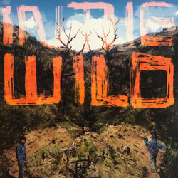 FaltyDL In The Wild Vinyl 2 LP