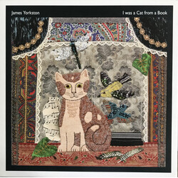 James Yorkston I Was A Cat From A Book Multi Vinyl/CD/DVD Box Set