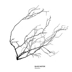 Black Motor Branches