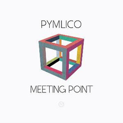 Pymlico Meeting Point Multi Vinyl LP/CD