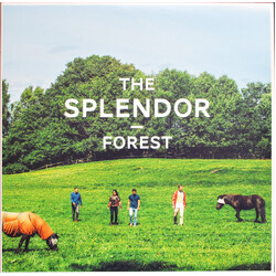 The Splendor Forest