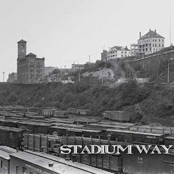 Stadium Way Stadium Way (Coloured Vinyl) Vinyl 7"