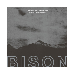 Bison You Are Not The Ocean You Are The Patient Vinyl LP