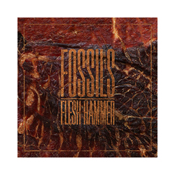 Fossils Flesh Hammer Vinyl LP