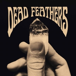 Dead Feathers Dead Feathers Vinyl 10"